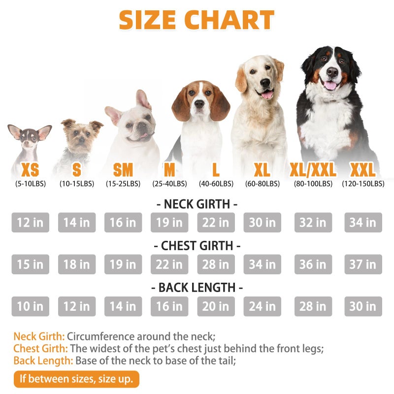 KOOLTAIL Plaid Dog Hoodie Pet Clothes Sweater with Hat and Pocket for Small Medium Large Size Dogs, Soft Winter Warm Dog Cold Weather Coat, Fleece Fall Dog Hooded Sweatshirt for Puppy Cats, Red S - Image 4